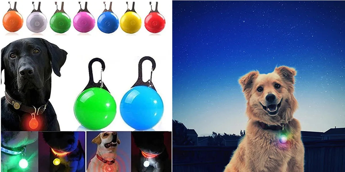 LED Luminous Dog Collar – USB Rechargeable & Waterproof