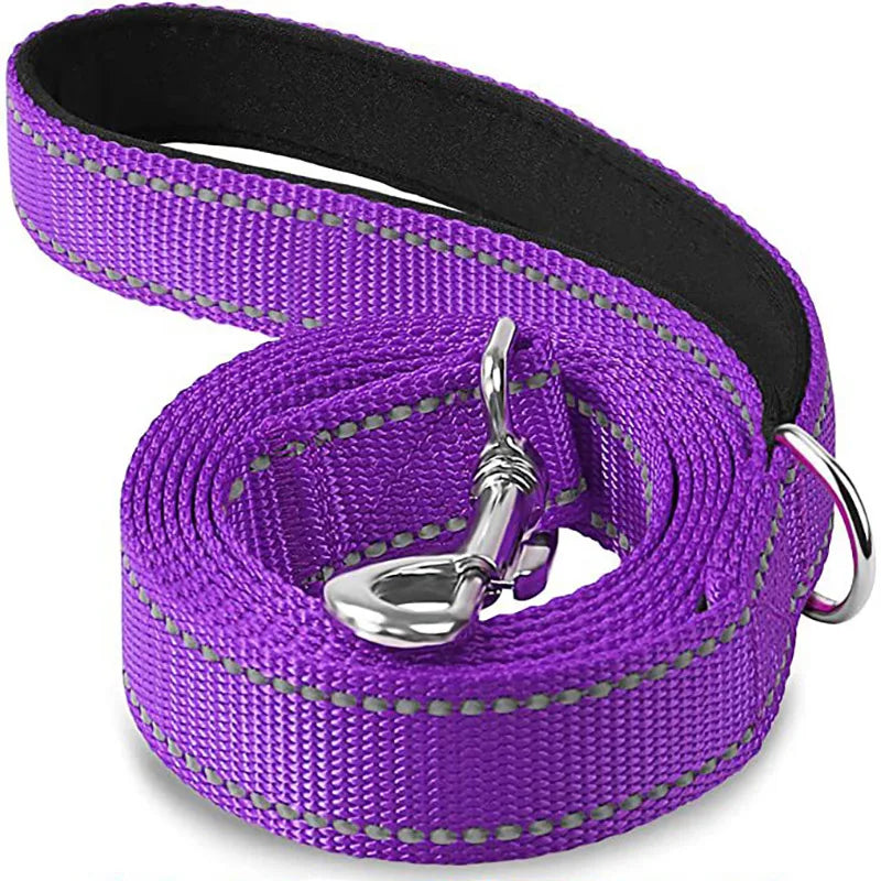 Reflective Pet Harness and Leash Set for Cats & Dogs