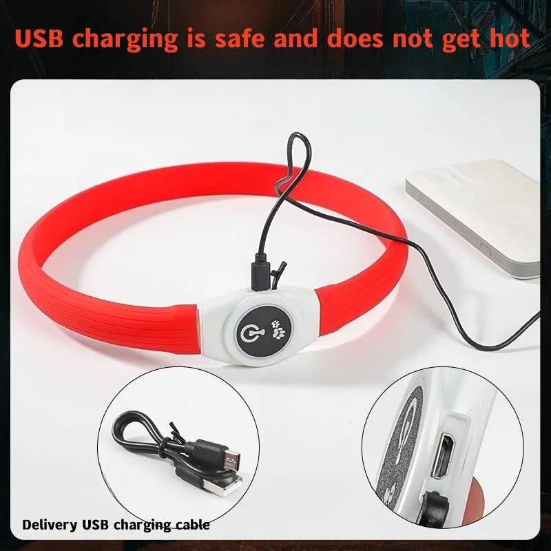 LED Luminous Dog Collar – USB Rechargeable & Waterproof