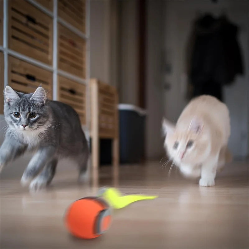Smart Automatic Rolling Cat Toy Ball – USB Rechargeable