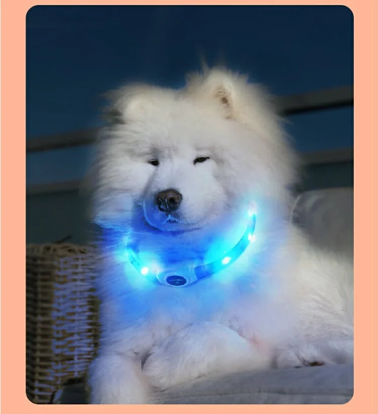 LED Luminous Dog Collar – USB Rechargeable & Waterproof