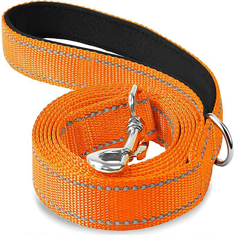 Reflective Pet Harness and Leash Set for Cats & Dogs