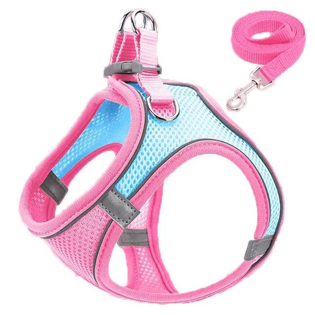 Reflective Cat Harness and Leash Set Adjustable for Small Pets