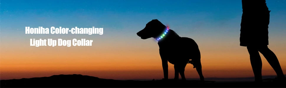 LED Luminous Dog Collar – USB Rechargeable & Waterproof