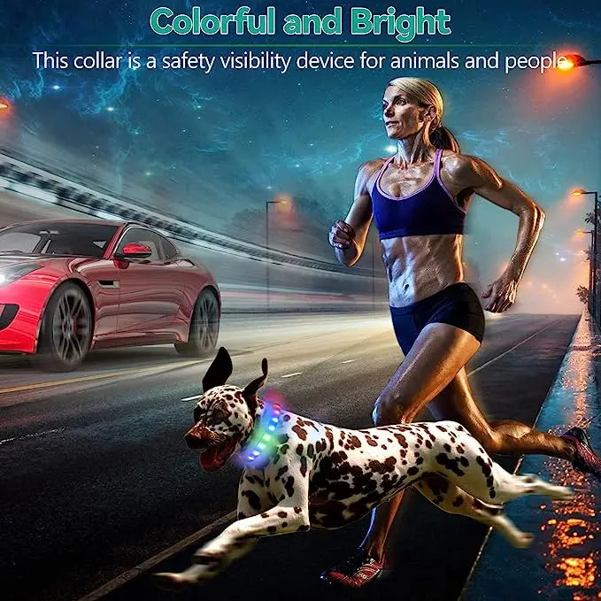 LED Luminous Dog Collar – USB Rechargeable & Waterproof