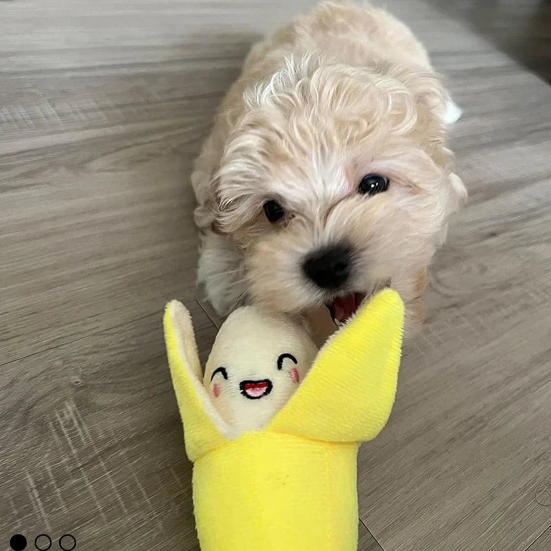 7PCS Plush Puppy Chew Toy Set – Fruit & Vegetable Design