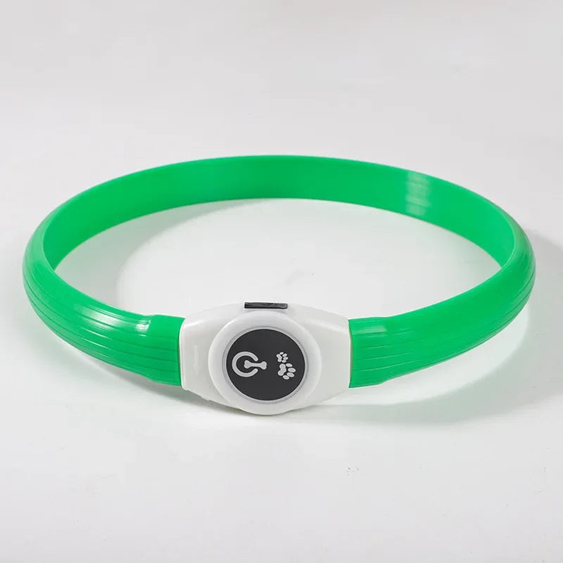 LED Luminous Dog Collar – USB Rechargeable & Waterproof