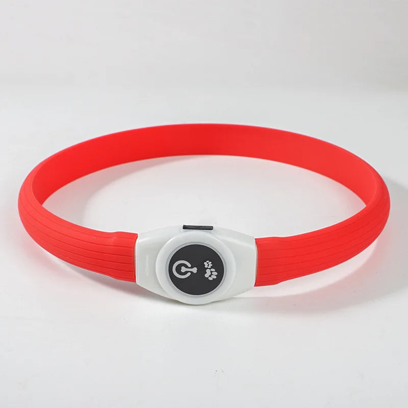LED Luminous Dog Collar – USB Rechargeable & Waterproof