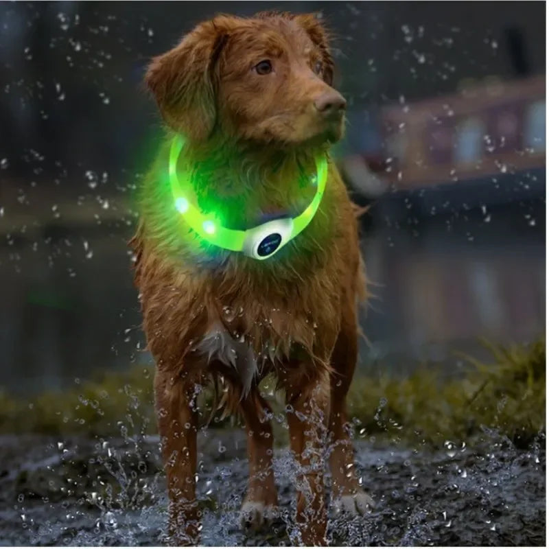 LED Luminous Dog Collar – USB Rechargeable & Waterproof