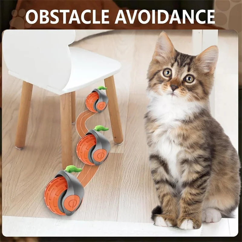 Smart Automatic Rolling Cat Toy Ball – USB Rechargeable