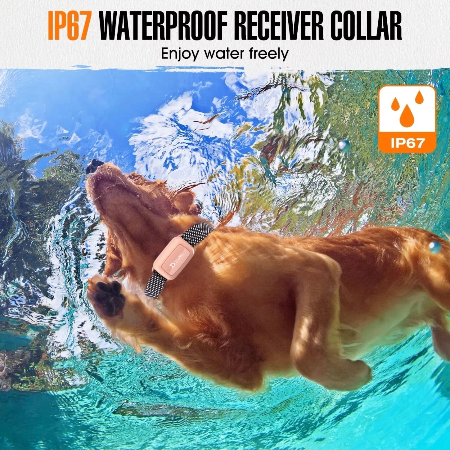 Rechargeable Waterproof Dog Training Collar with Remote