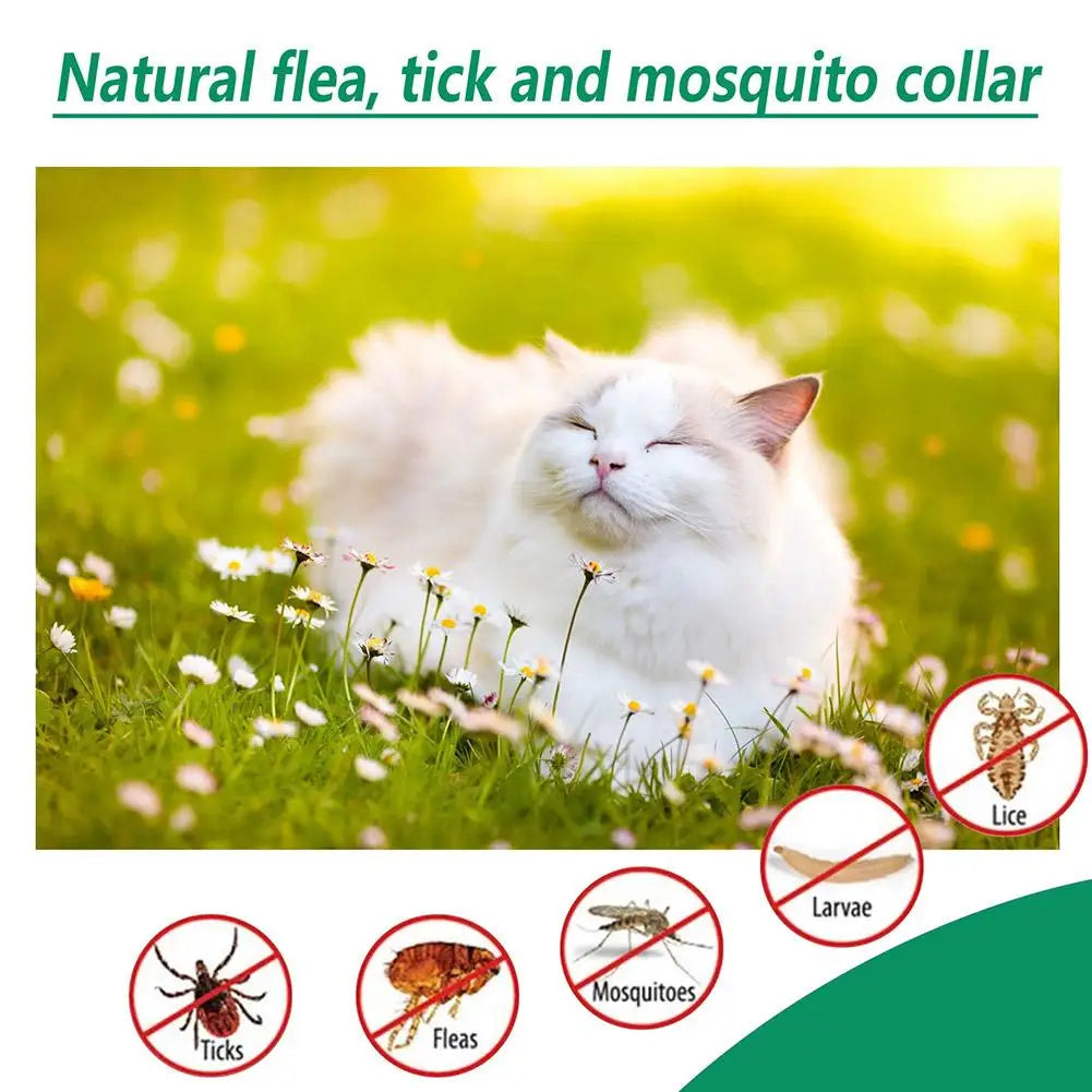 High-End Pet Flea & Tick Killer Drops – 60ml