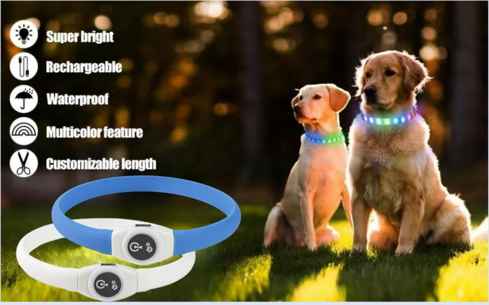 LED Luminous Dog Collar – USB Rechargeable & Waterproof
