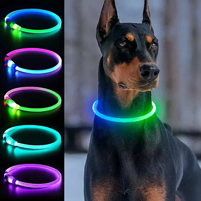 LED Luminous Dog Collar – USB Rechargeable & Waterproof