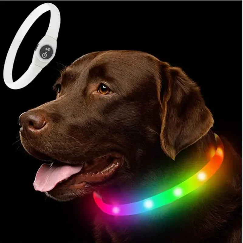 LED Luminous Dog Collar – USB Rechargeable & Waterproof