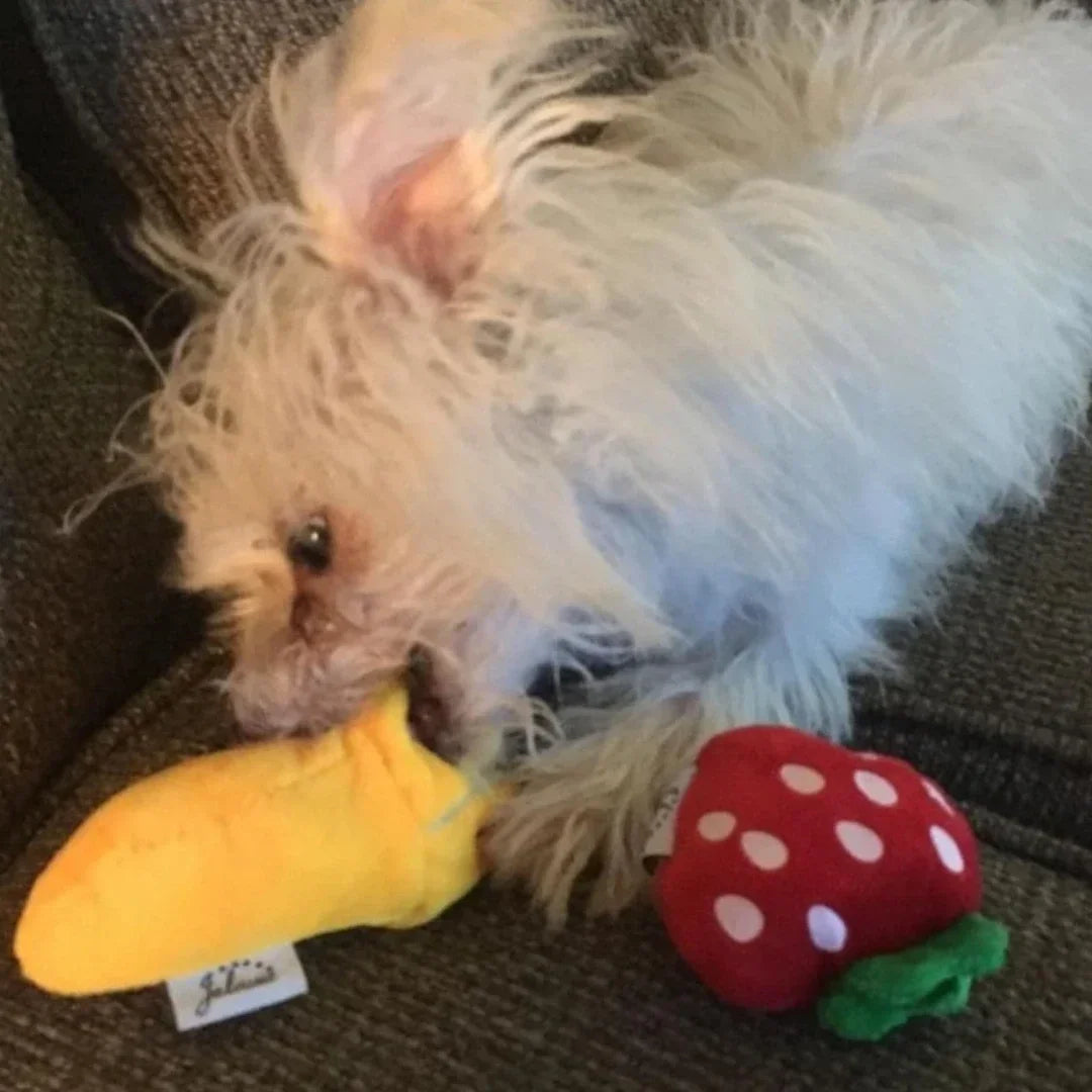 7PCS Plush Puppy Chew Toy Set – Fruit & Vegetable Design