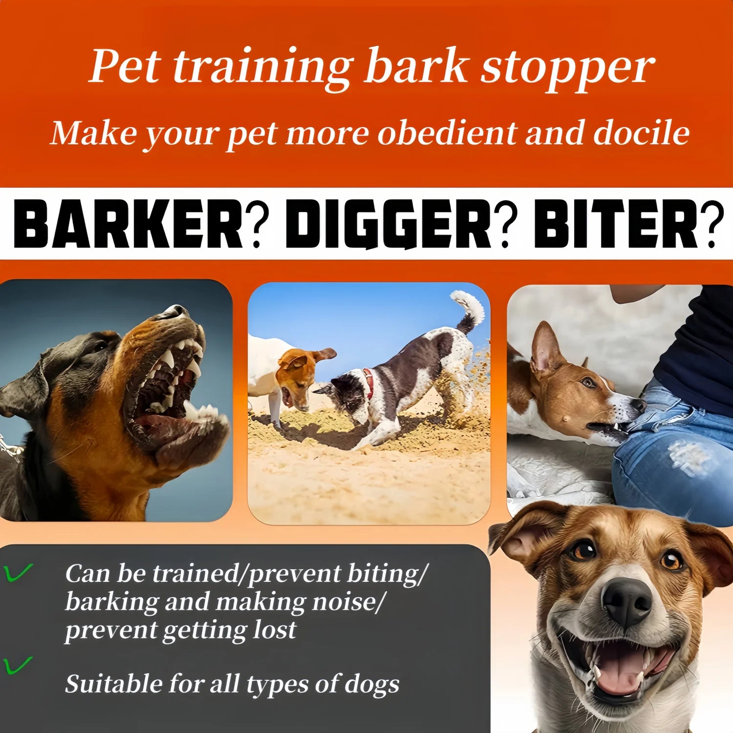 Rechargeable Waterproof Dog Training Collar with Remote