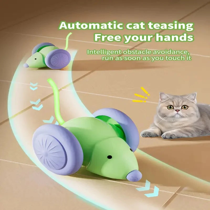 Smart Automatic Rolling Cat Toy Ball – USB Rechargeable