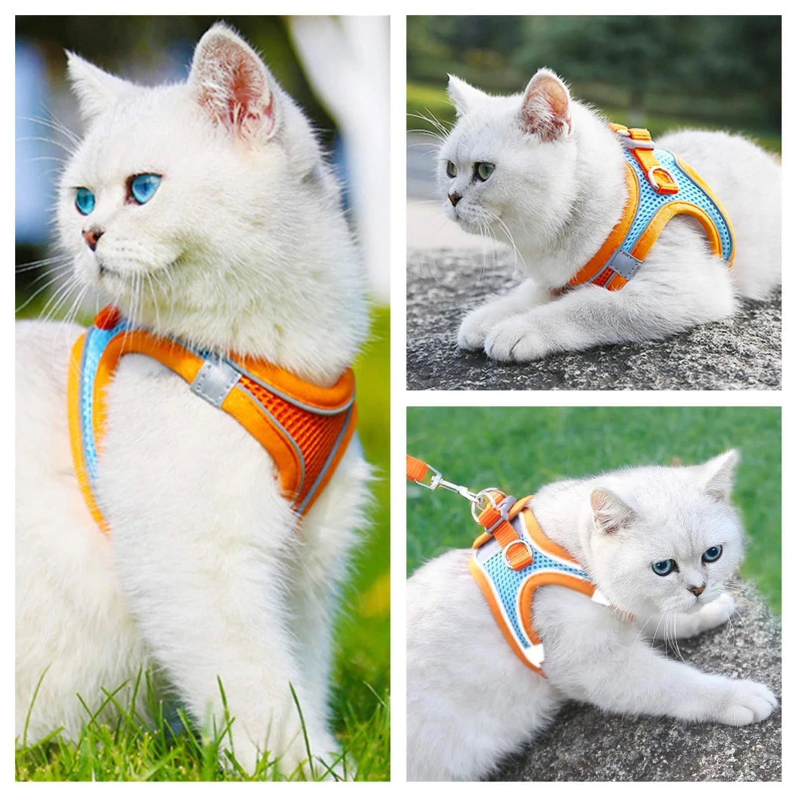 Reflective Cat Harness and Leash Set Adjustable for Small Pets
