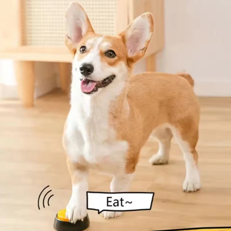 USB Rechargeable Smart Interactive Pet Ball