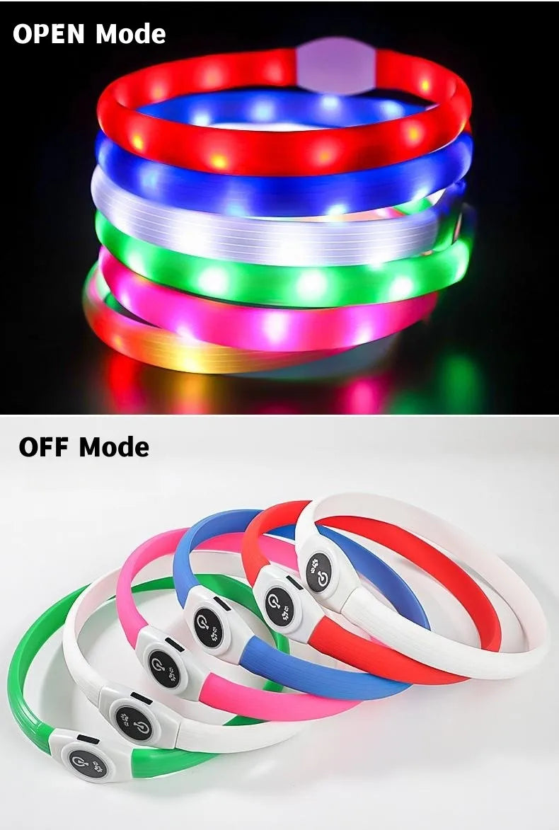 LED Luminous Dog Collar – USB Rechargeable & Waterproof