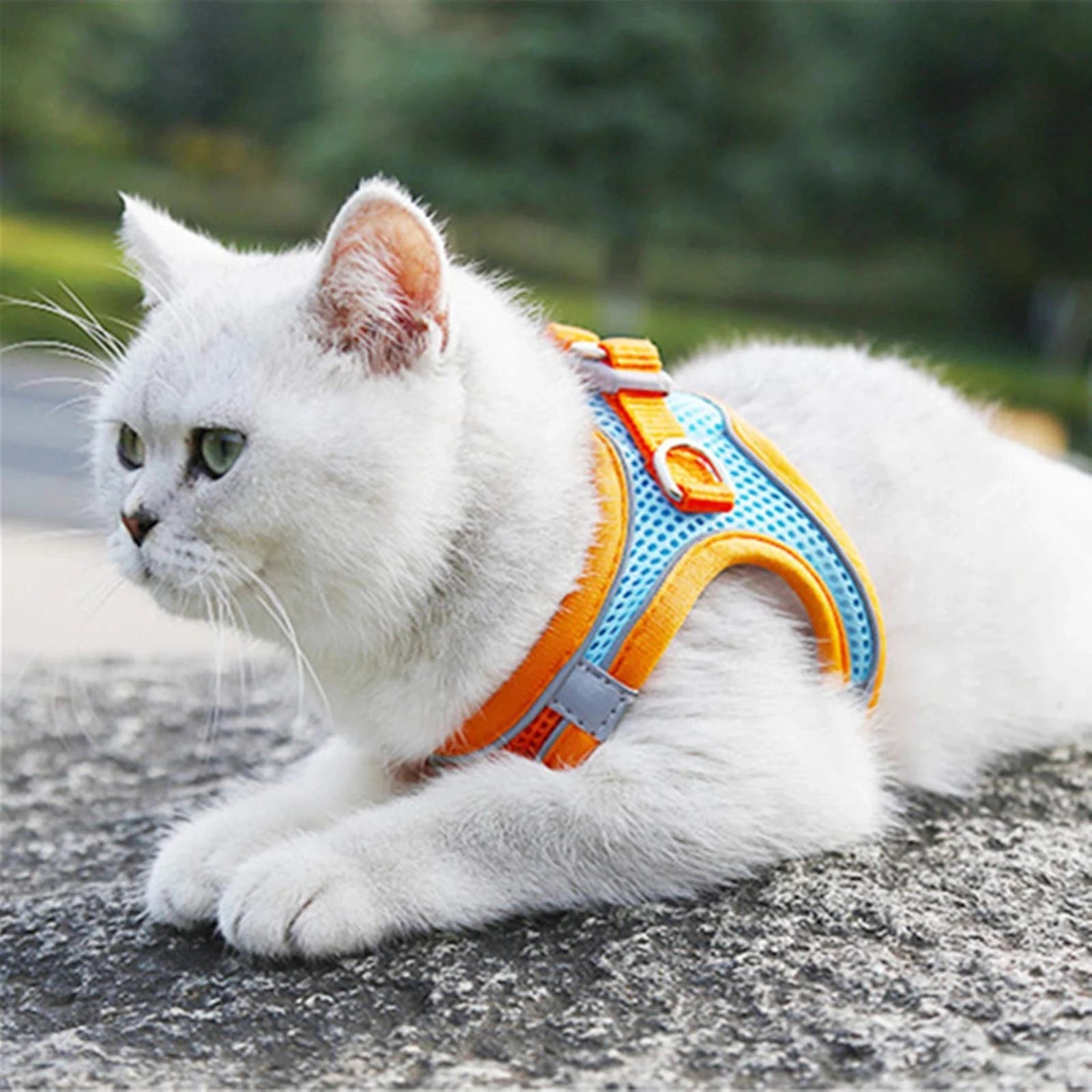 Reflective Cat Harness and Leash Set Adjustable for Small Pets