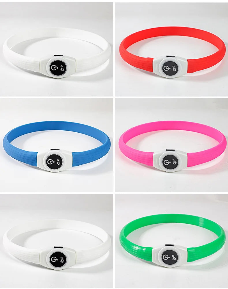 LED Luminous Dog Collar – USB Rechargeable & Waterproof