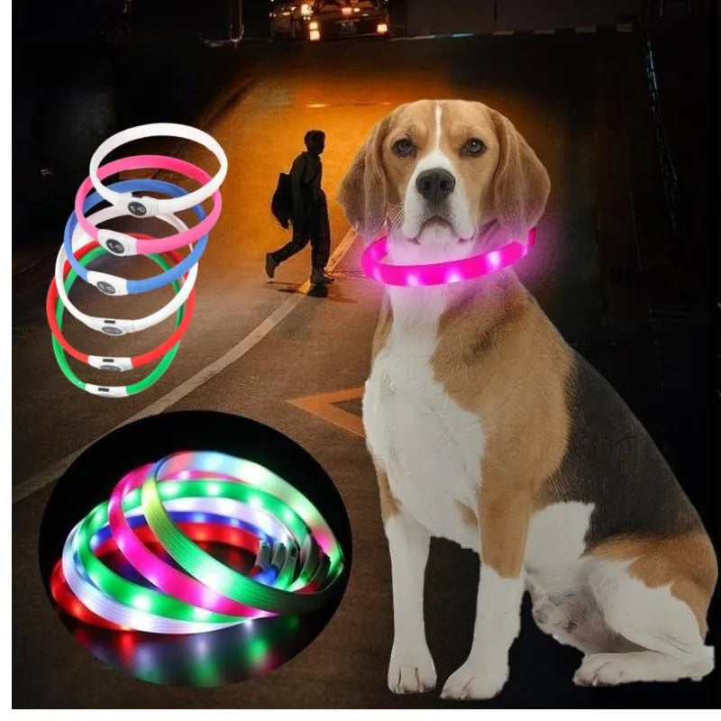 LED Luminous Dog Collar – USB Rechargeable & Waterproof