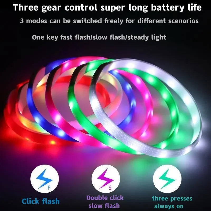LED Luminous Dog Collar – USB Rechargeable & Waterproof