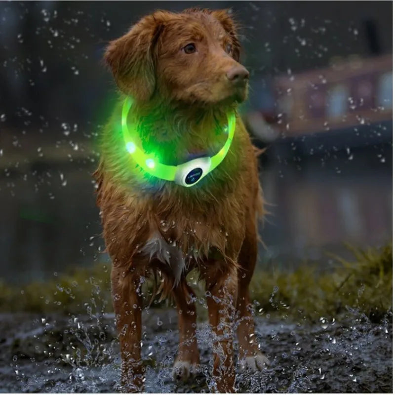 LED Luminous Dog Collar – USB Rechargeable & Waterproof