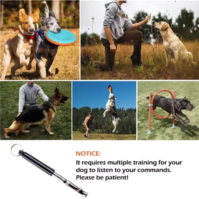 Ultrasonic Dog Training Whistle – Adjustable Stainless Steel