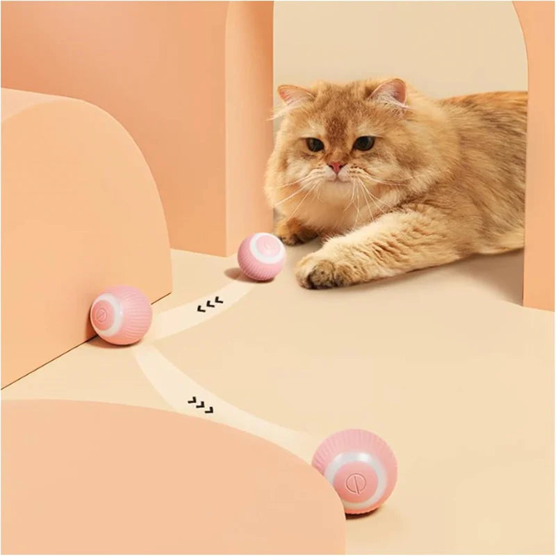 Smart Automatic Rolling Cat Toy Ball – USB Rechargeable