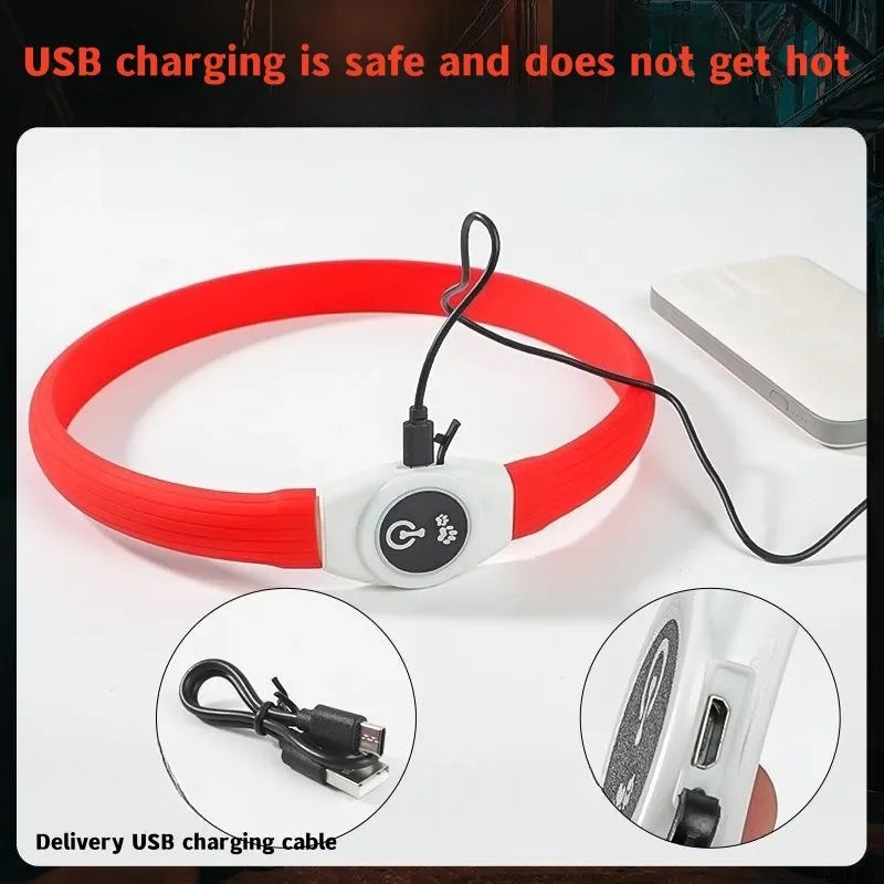 LED Luminous Dog Collar – USB Rechargeable & Waterproof