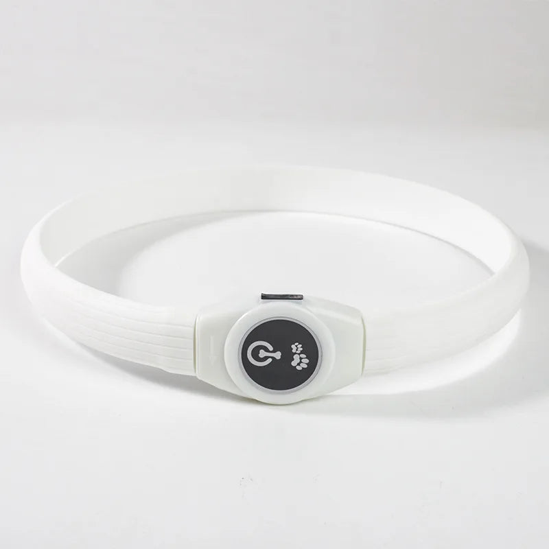 LED Luminous Dog Collar – USB Rechargeable & Waterproof
