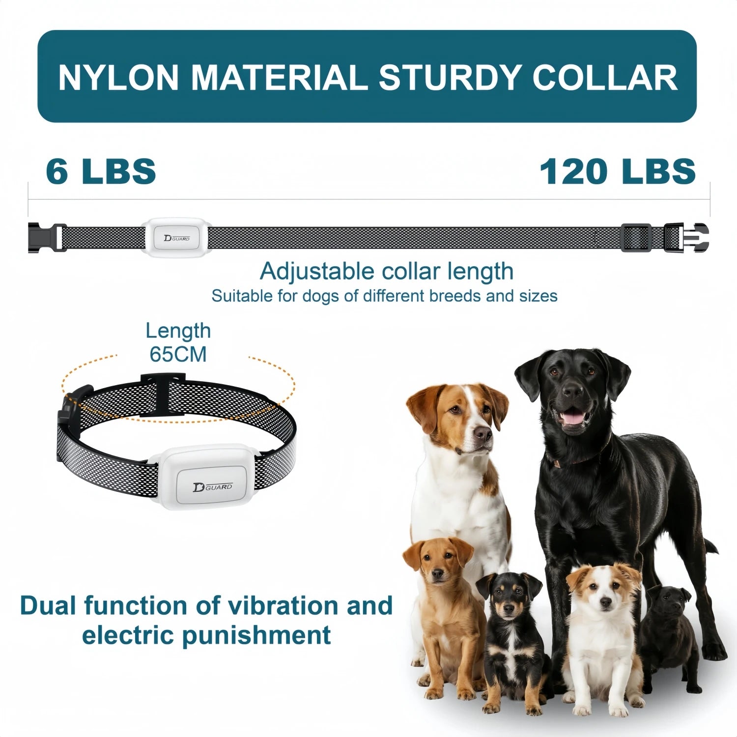 Rechargeable Waterproof Dog Training Collar with Remote