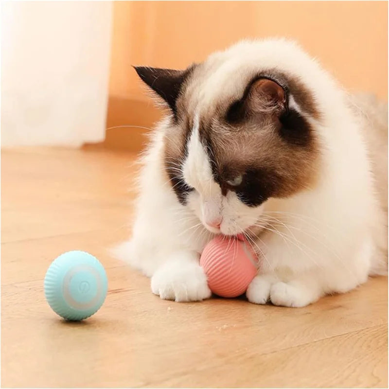 Smart Automatic Rolling Cat Toy Ball – USB Rechargeable
