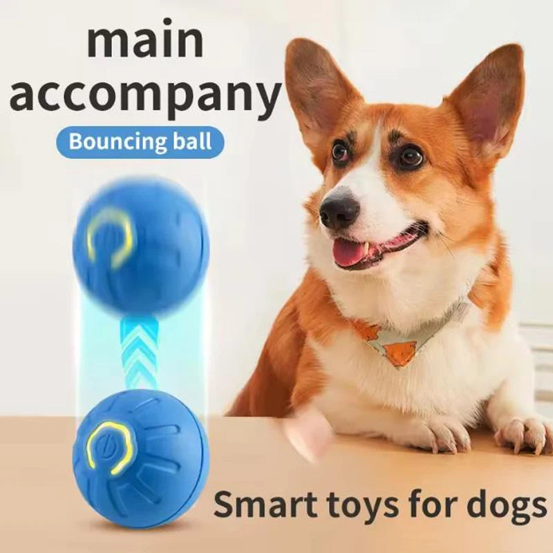 USB Rechargeable Smart Interactive Pet Ball
