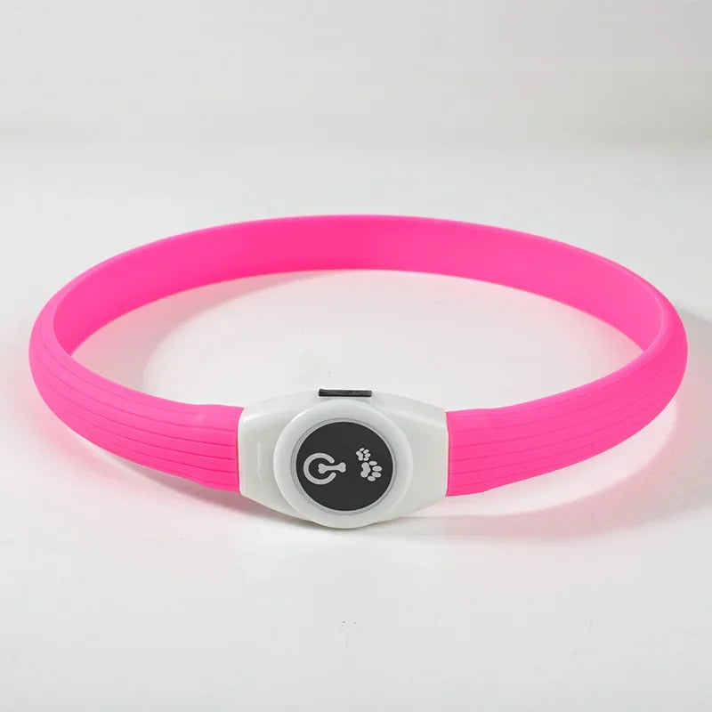 LED Luminous Dog Collar – USB Rechargeable & Waterproof