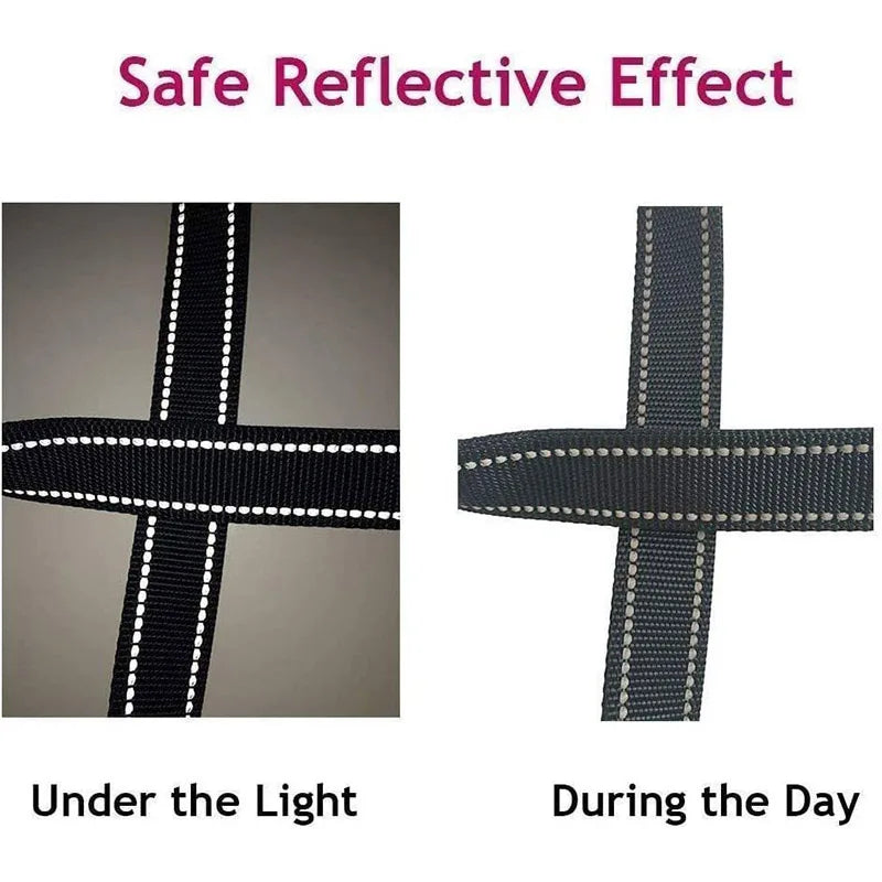 Reflective Pet Harness and Leash Set for Cats & Dogs