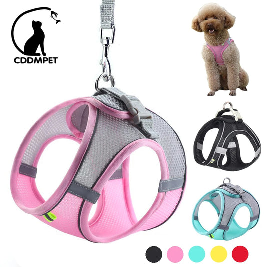 Adjustable Dog & Cat Harness Leash Set – Small Breeds