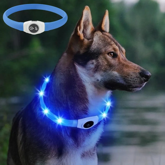 LED Luminous Dog Collar – USB Rechargeable & Waterproof