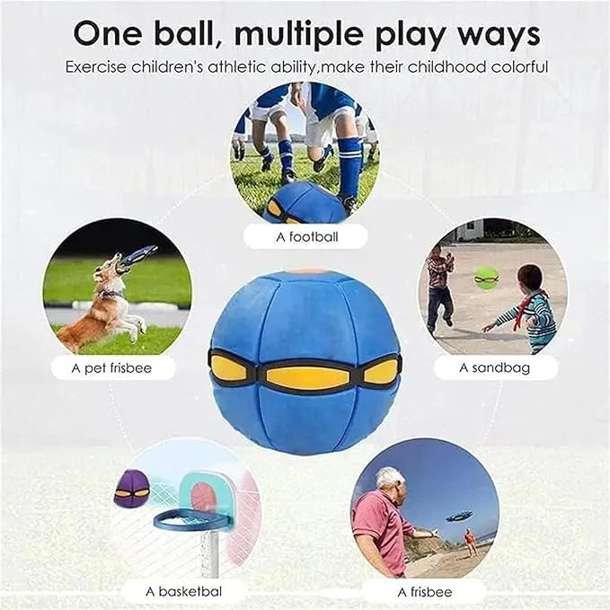 Flying Saucer Bouncing Ball Dog Toy