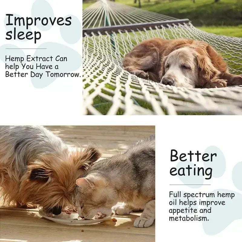 Hemp Seed Oil Supplement for Dogs – Omega 3, 6, 9 & Vitamins