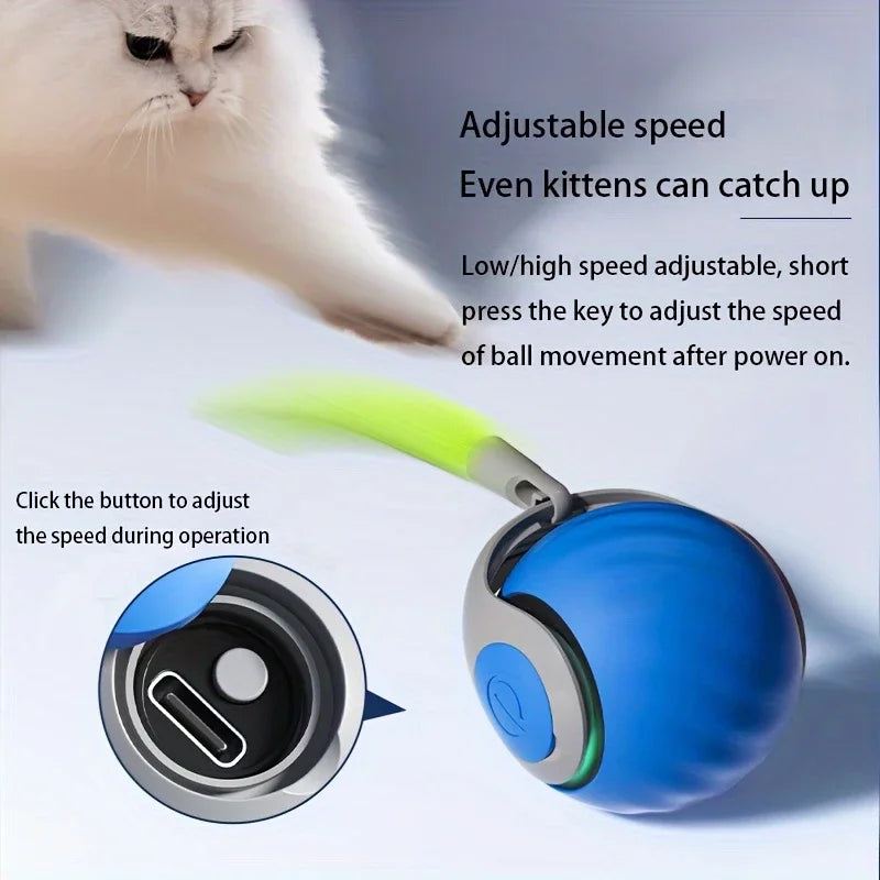Smart Automatic Rolling Cat Toy Ball – USB Rechargeable