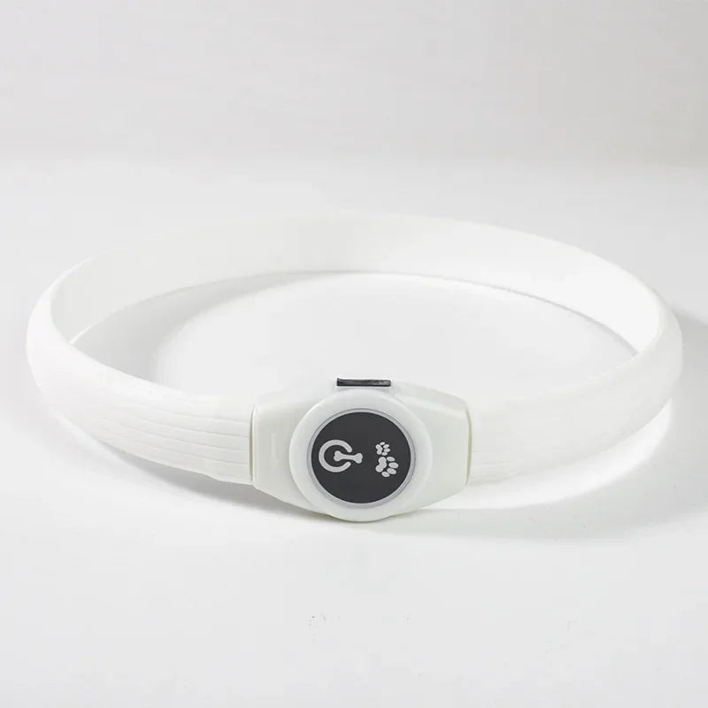 LED Luminous Dog Collar – USB Rechargeable & Waterproof