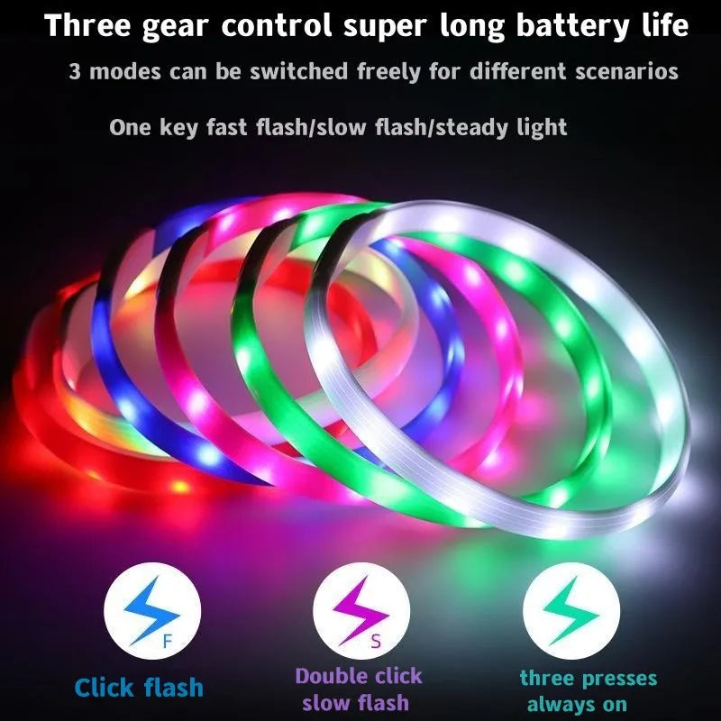 LED Luminous Dog Collar – USB Rechargeable & Waterproof