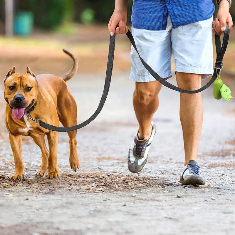 Reflective Pet Harness and Leash Set for Cats & Dogs