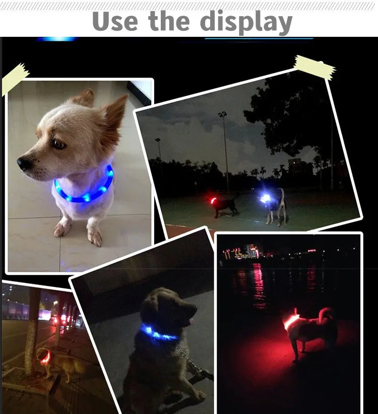 LED Luminous Dog Collar – USB Rechargeable & Waterproof